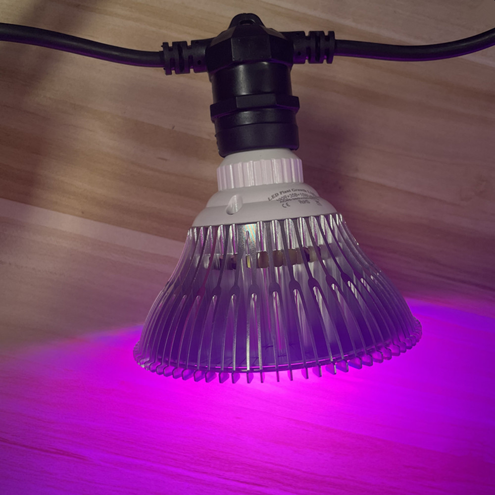 Kabel LED 10M Kelas Komersial  - Outdoor Lighting Brands ulasan dan harga